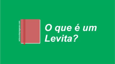 O que é levita